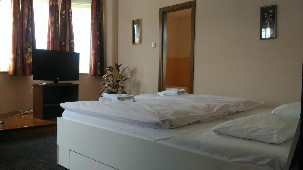 Penzion Marion Hotel Decin Luaran gambar